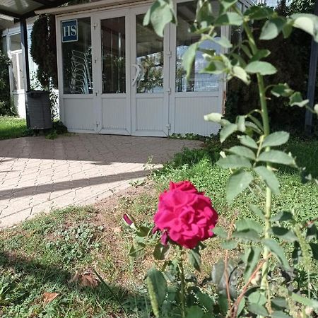 Hostal Brin Monreal del Campo Zewnętrze zdjęcie