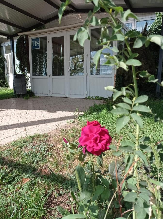 Hostal Brin Monreal del Campo Zewnętrze zdjęcie